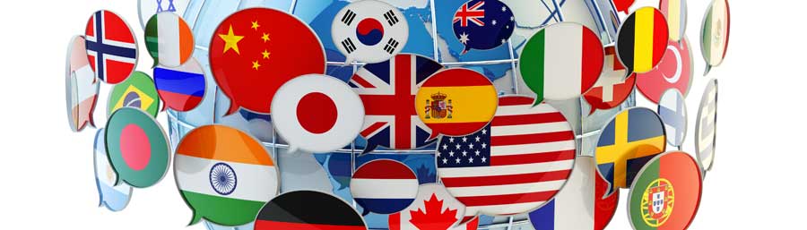 Multilingual Subtitling and Translation Services